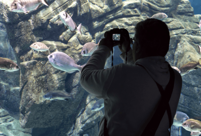 Cretaquarium